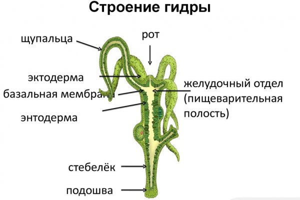 Omg omg телеграм канал