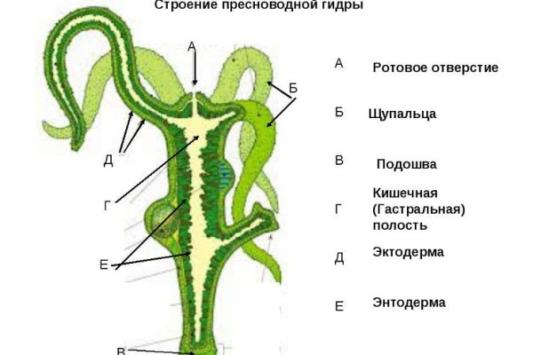 Рабочая omg